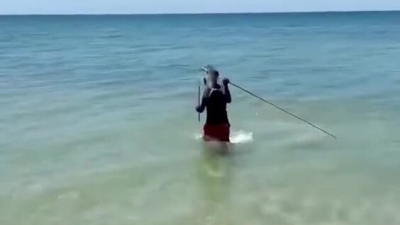 
Как австралийские аборигены ловят рыбу    