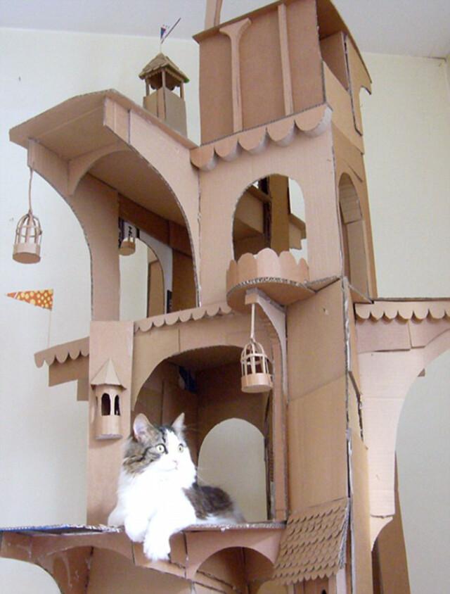 Забавные картонные замки для кошек