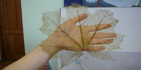 Поделки из листьев на тему осень для детского сада
