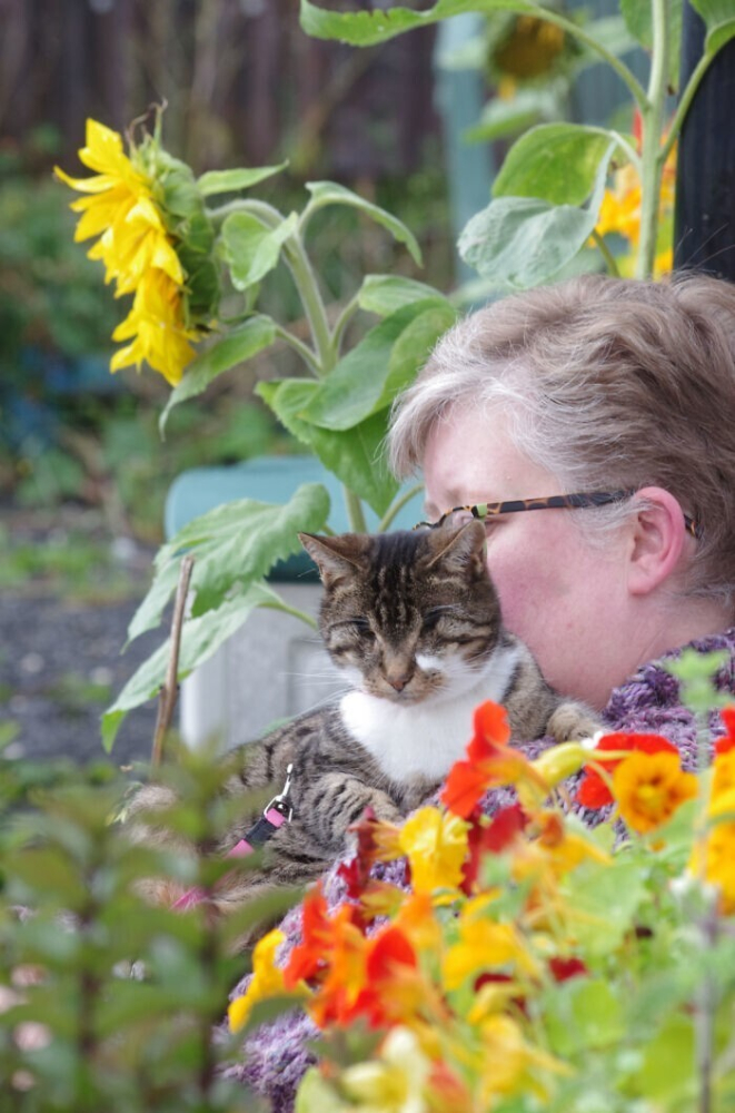
Слепую кошку подобрали на улице — и показали ей, что такое настоящая любовь    