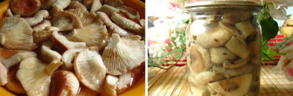 Как мариновать грибы в домашних условиях