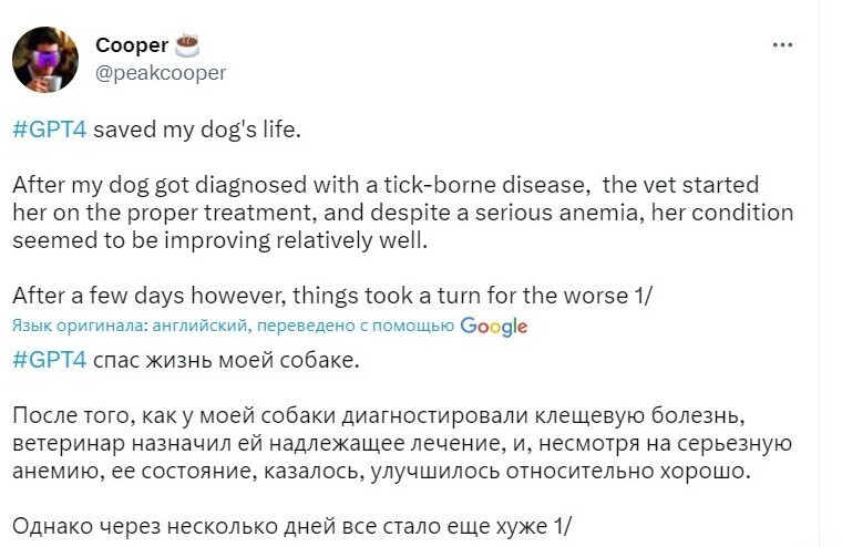 
Хозяин рассказал, как нейросеть спасла собаку, когда ветеринар не смог поставить диагноз    