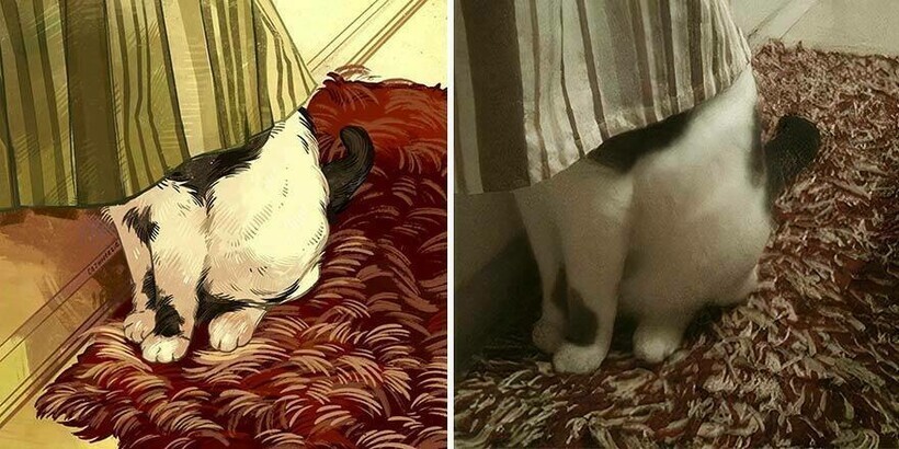 
Художница превращает известные мемы с котами в забавные иллюстрации    