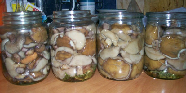 Как мариновать грибы в домашних условиях