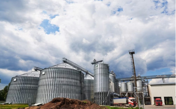 Зерновая сделка – надо ли России ее продлять: США потребовали от нас сделать это в кратчайшие сроки