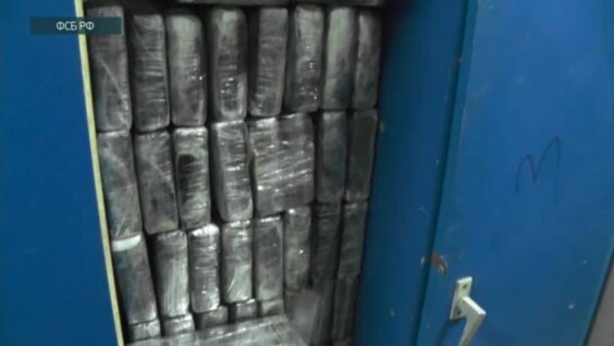 
"Члены наркокартеля и 700 кг кокаина": в Подмосковье задержали рекордную партию наркотиков    