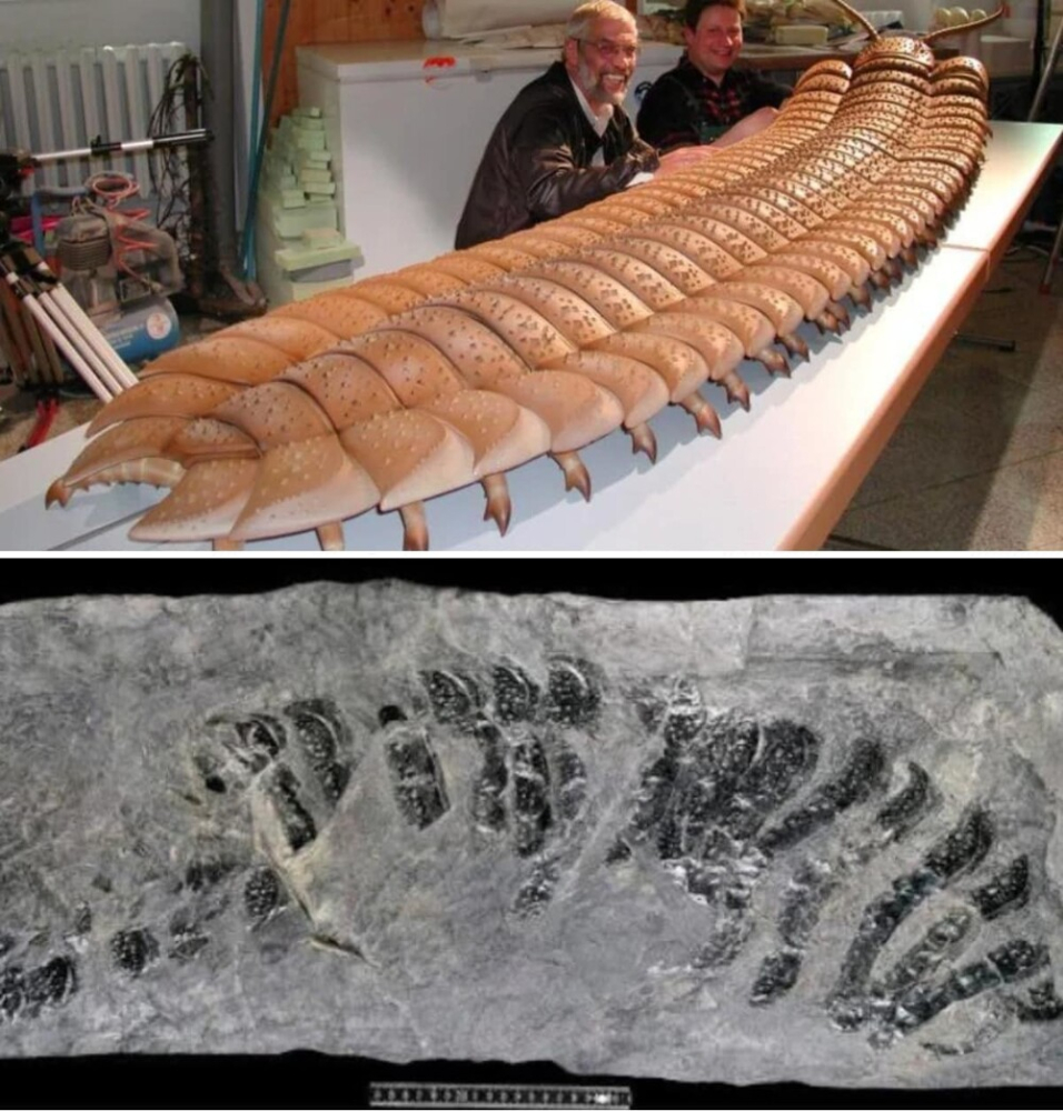 
        14 доказательств, какими жуткими были доисторические монстры, чьи останки были найдены в разных частях света    